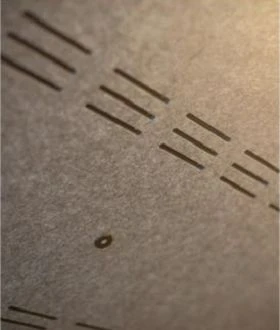 product-280-330 product-280-330
